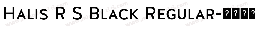 Halis R S Black Regular字体转换